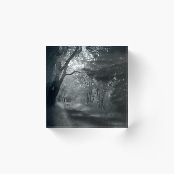 Item preview, A Ghostly Walk in the Woods designed and sold by Scott-Tilley Photography.