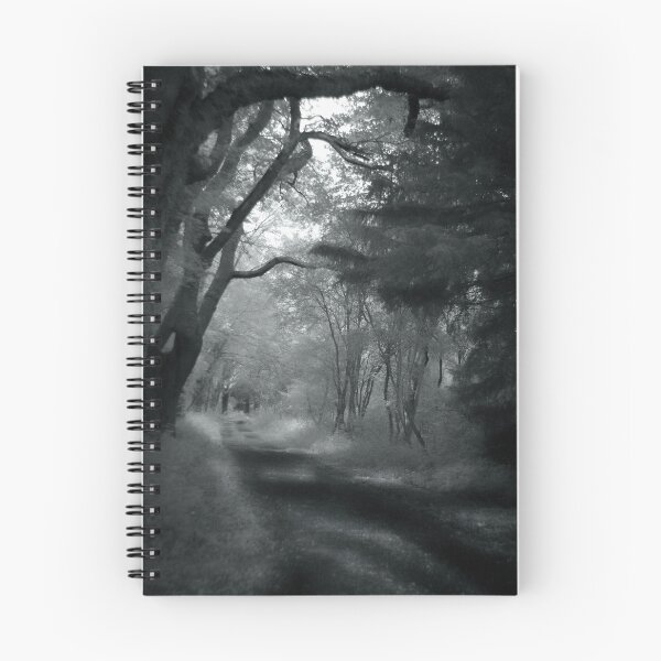 Item preview, A Ghostly Walk in the Woods designed and sold by Scott-Tilley Photography.