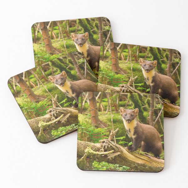 Item preview, Pine Marten In Scottish Woodland designed and sold by Scott-Tilley Photography.