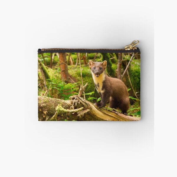 Item preview, Pine Marten In Scottish Woodland designed and sold by Scott-Tilley Photography.