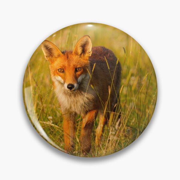 Item preview, Beautiful Red Fox designed and sold by Scott-Tilley Photography.