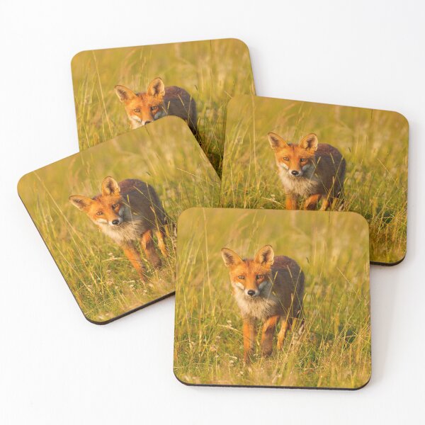 Item preview, Beautiful Red Fox designed and sold by Scott-Tilley Photography.