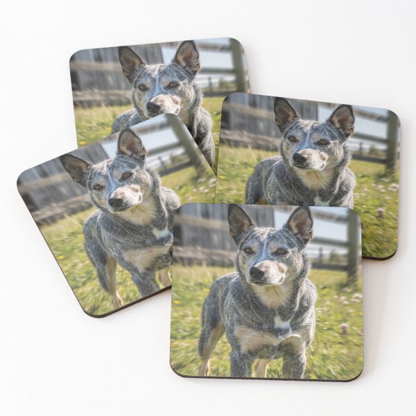 Item preview, Cattle Dog designed and sold by TeesofAuss.