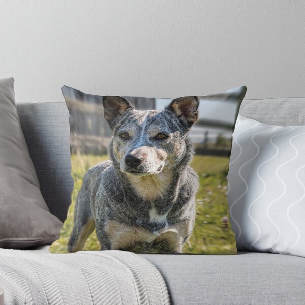 Item preview, Cattle Dog designed and sold by TeesofAuss.
