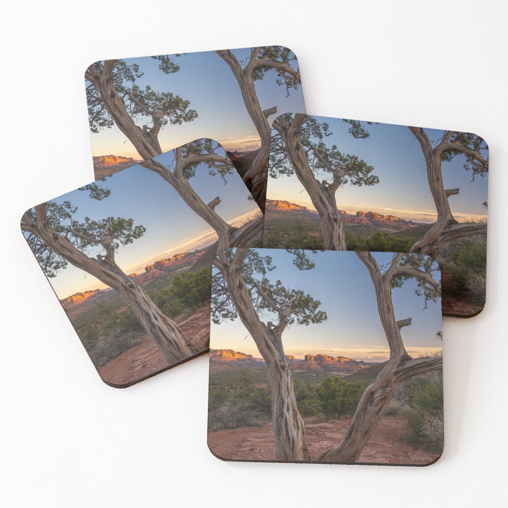 Item preview, Coasters (Set of 4) designed and sold by CopperSkyPhoto.
