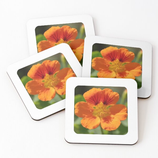 Item preview, Vibrant Orange Nasturtium Flower designed and sold by deisgnsbyshane.