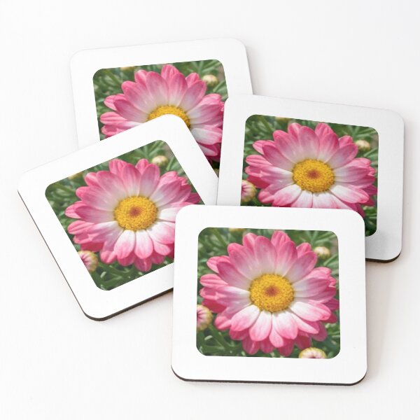 Item preview, Pink Marguerite Daisy designed and sold by deisgnsbyshane.