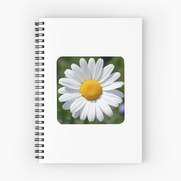 Item preview, Classic White Oxeye Daisy designed and sold by deisgnsbyshane.