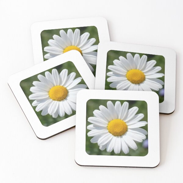 Item preview, Classic White Oxeye Daisy designed and sold by deisgnsbyshane.