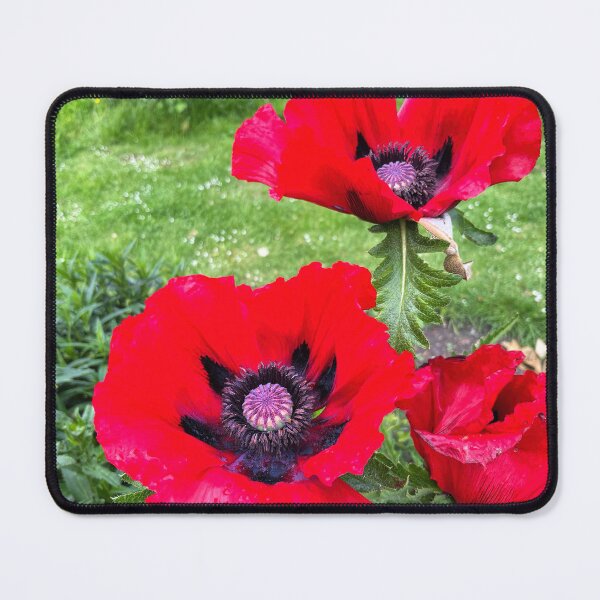 Item preview, Vivid Blood Red Poppies in Spring Sunshine designed and sold by Violaman.