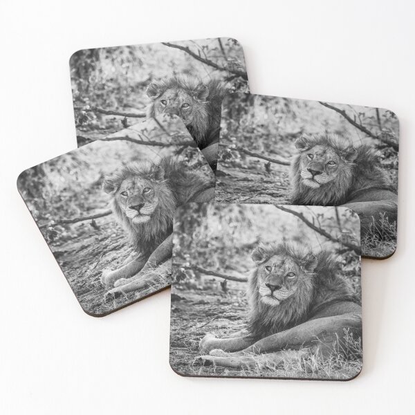 Item preview, A Wounded Lion In Black and White designed and sold by Kay Brewer.