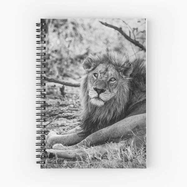 Item preview, A Wounded Lion In Black and White designed and sold by Kay Brewer.
