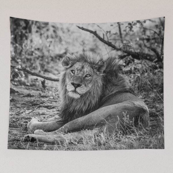 Item preview, A Wounded Lion In Black and White designed and sold by Kay Brewer.