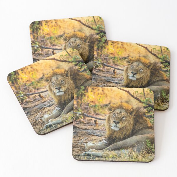 Item preview, A Wounded Lion designed and sold by Kay Brewer.