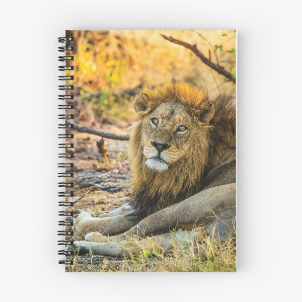 Item preview, A Wounded Lion designed and sold by Kay Brewer.