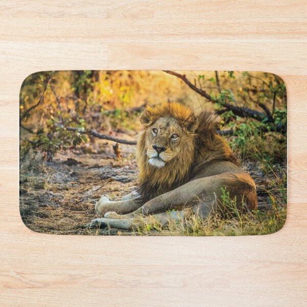 Item preview, A Wounded Lion designed and sold by Kay Brewer.
