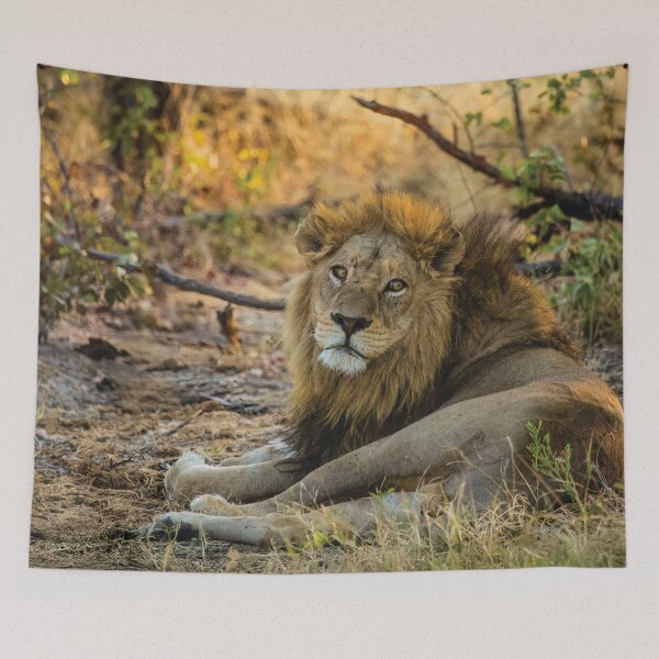Item preview, A Wounded Lion designed and sold by Kay Brewer.
