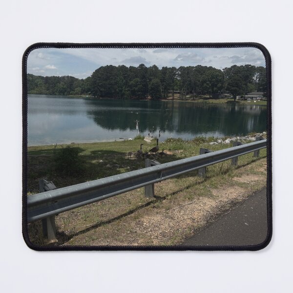 Item preview, Geese Family Day Out designed and sold by KE Photo Art.