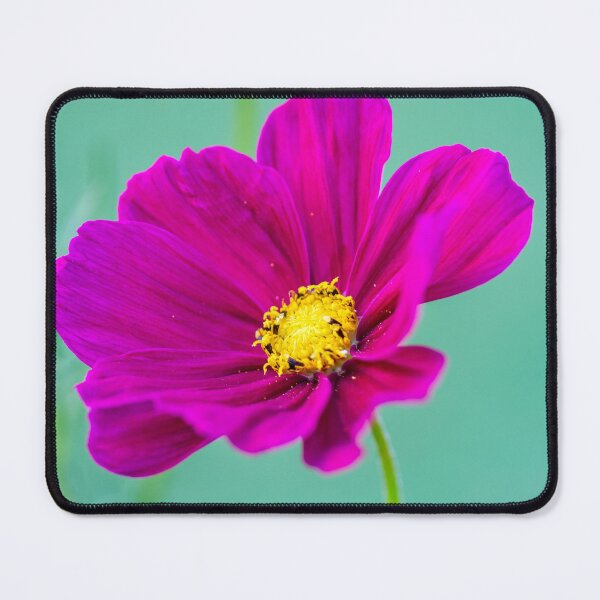 Item preview, Purple Cosmos designed and sold by JeanKellyPhoto.
