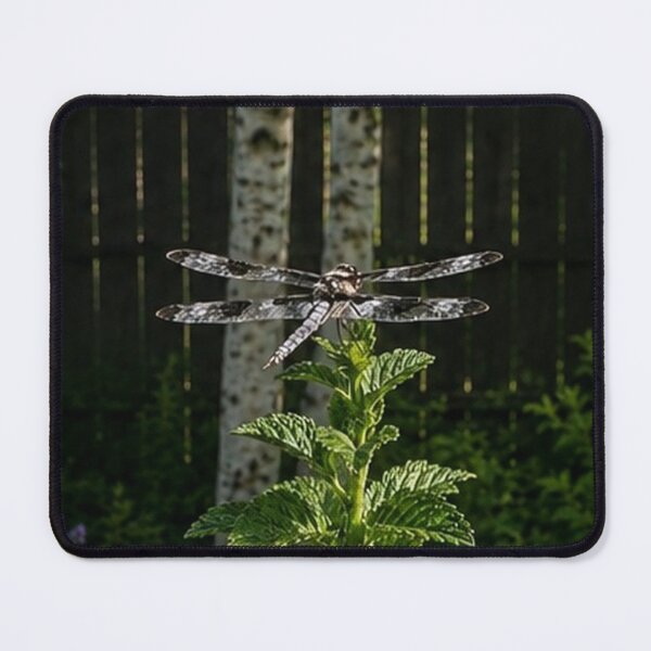 Item preview, Dragonfly Dreams: Garden Sentinel designed and sold by AutumnLeAnnDesigns.