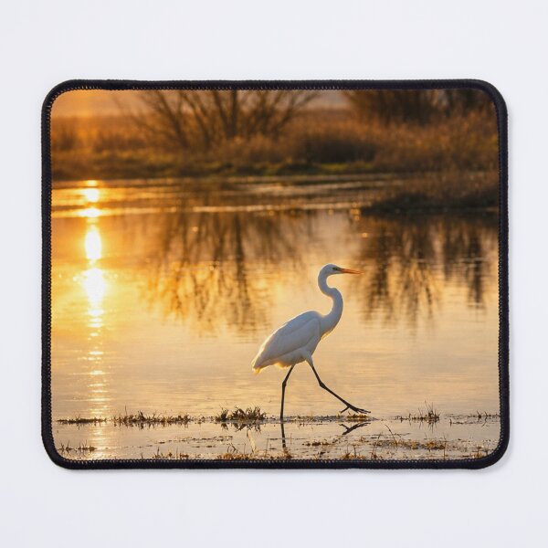Item preview, Walk like an Egret designed and sold by Kimberly Palmer.