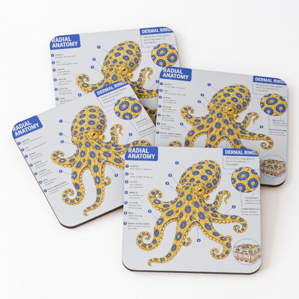 Item preview, Schematic Anatomy of a Blue-Ringed Octopus designed and sold by MarVan-Prints.