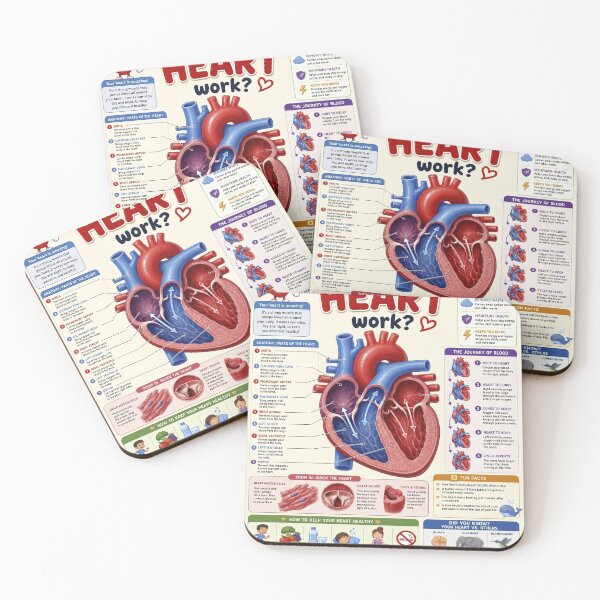 Item preview, How Does The Heart Work? Human Anatomy Biology Medical Student Education designed and sold by yassin-stags.