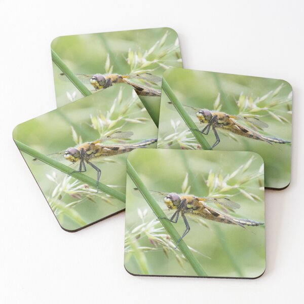 Item preview, Four Spotted Chaser designed and sold by LaurenTucker.