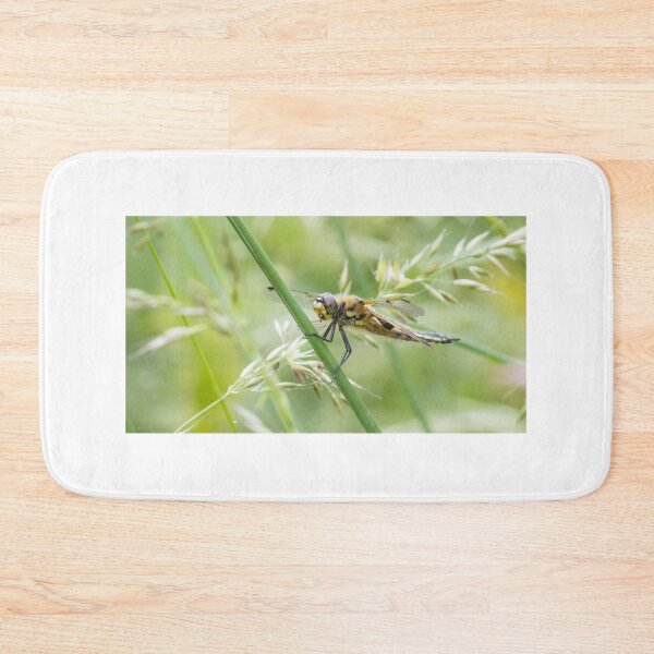 Item preview, Four Spotted Chaser designed and sold by LaurenTucker.