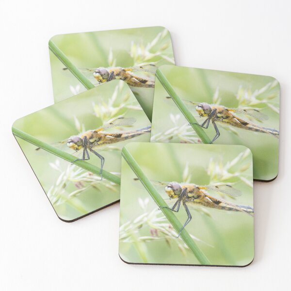 Item preview, Four Spotted Chaser designed and sold by LaurenTucker.