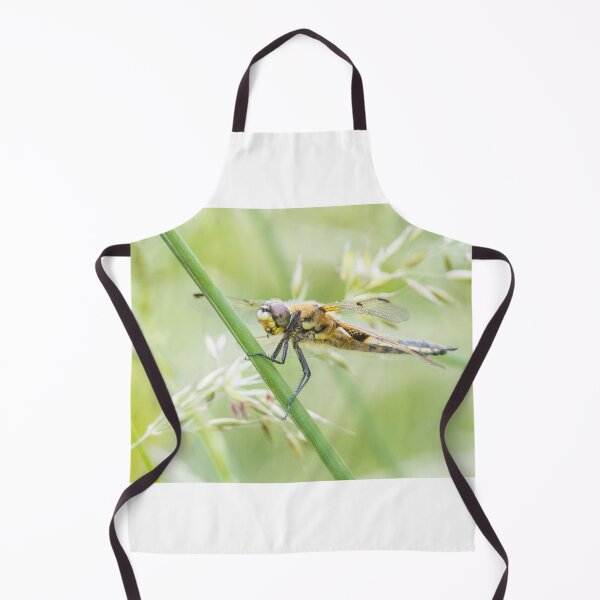 Item preview, Four Spotted Chaser designed and sold by LaurenTucker.