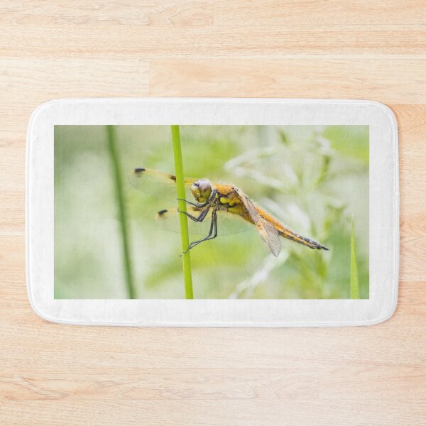 Item preview, Four Spotted Chaser designed and sold by LaurenTucker.