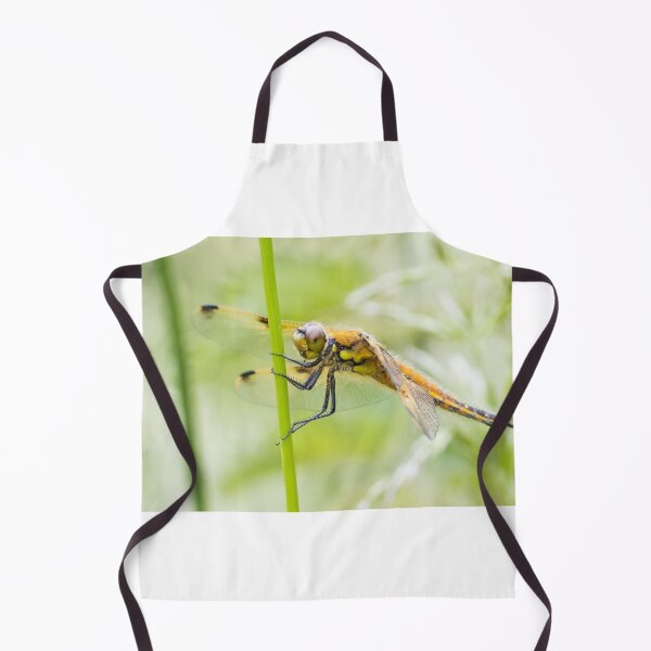 Item preview, Four Spotted Chaser designed and sold by LaurenTucker.