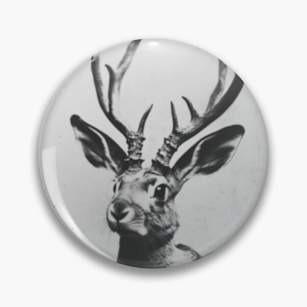 Item preview, Jackalope Vintage Photo Print | Mythical Cryptid Art  designed and sold by GSizzle1.