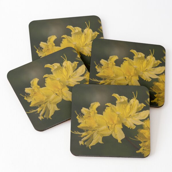 Item preview, Warm Spring Blooms designed and sold by TheeForestFox Shop.