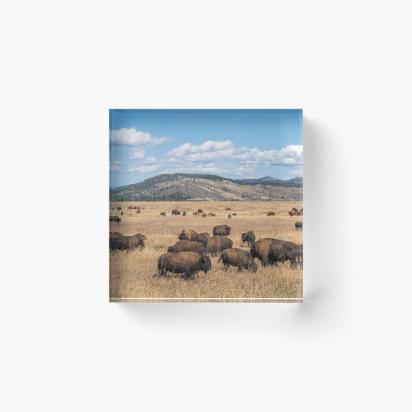 Item preview, Where the Buffalo Roam designed and sold by CopperSkyPhoto.