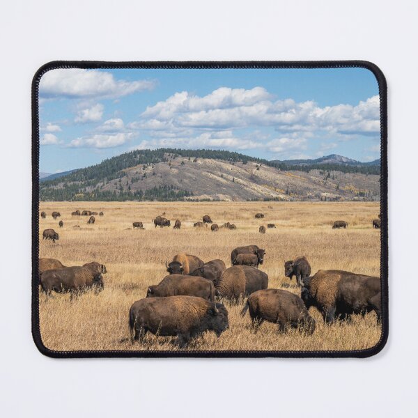 Item preview, Where the Buffalo Roam designed and sold by CopperSkyPhoto.