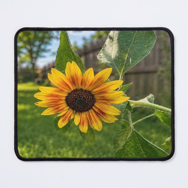 Item preview, Golden Sunflower in Summer Light designed and sold by AutumnLeAnnDesigns.