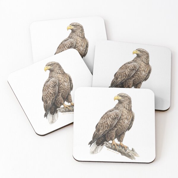 Item preview, White-tailed eagle bird of prey designed and sold by iclipart.