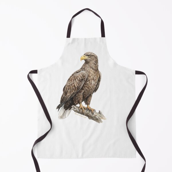 Item preview, White-tailed eagle bird of prey designed and sold by iclipart.