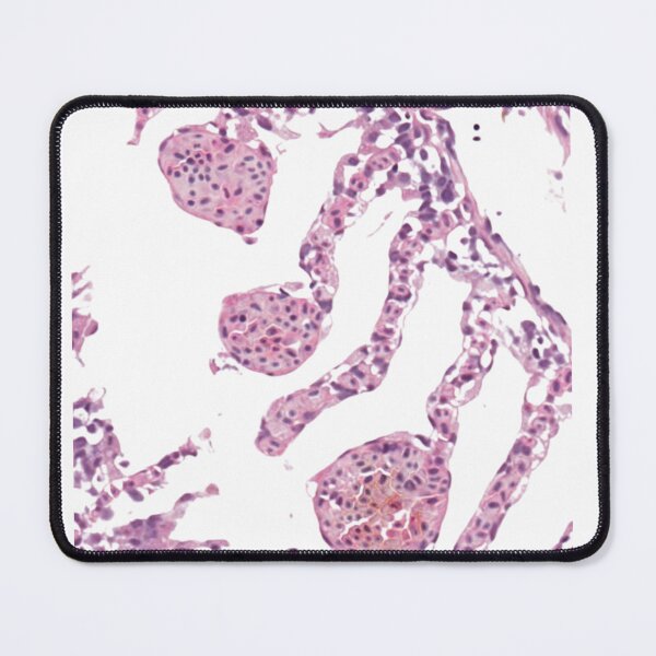 Item preview, Histology art : fish gills designed and sold by Aquaglobal Vet.