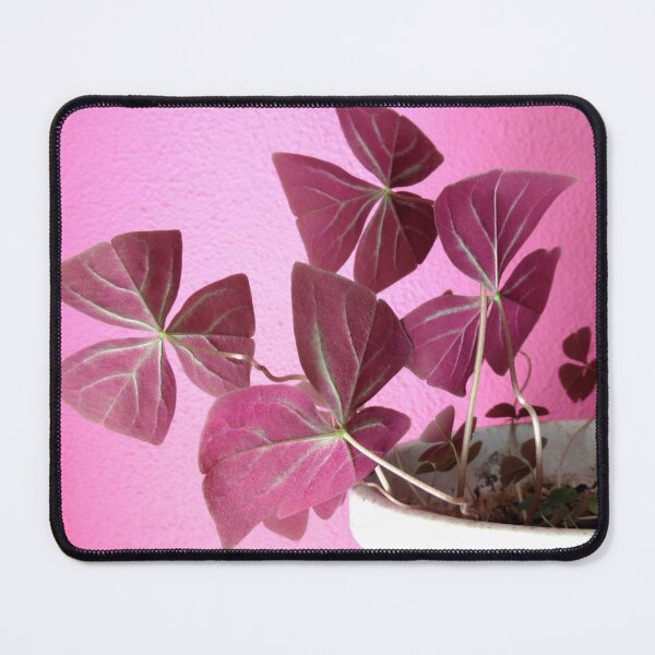 Item preview, Shamrock Plant designed and sold by collageDP.