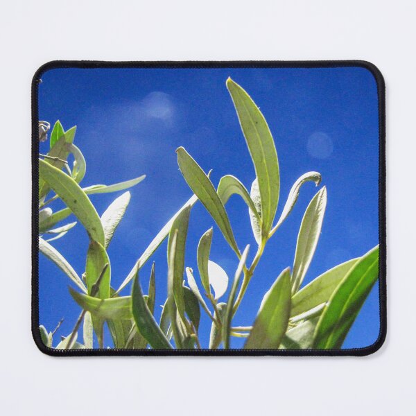Item preview, Olive Tree Leaves Backlit Against Deep Blue Sky on a Sunny Mediterranean Day designed and sold by Nmallia.