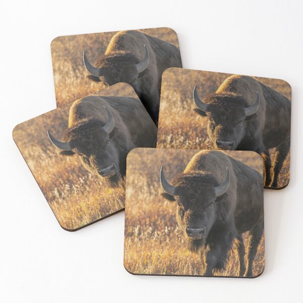 Item preview, Solo Bison designed and sold by CopperSkyPhoto.