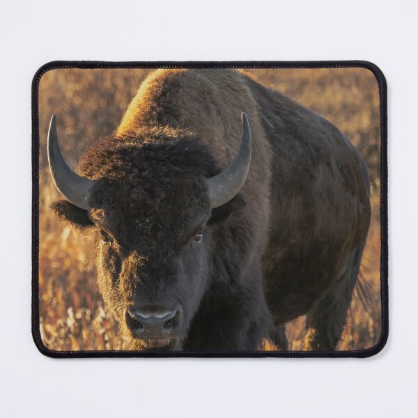 Item preview, Solo Bison designed and sold by CopperSkyPhoto.
