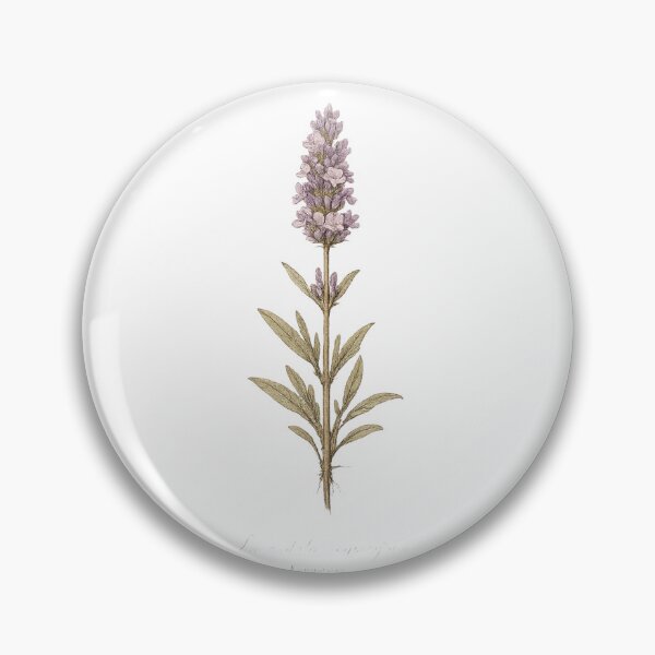 Item preview, Single Lavender Specimen Vintage Botanical Illustration | Cottagecore Herbarium Art designed and sold by Joyfulfabric.