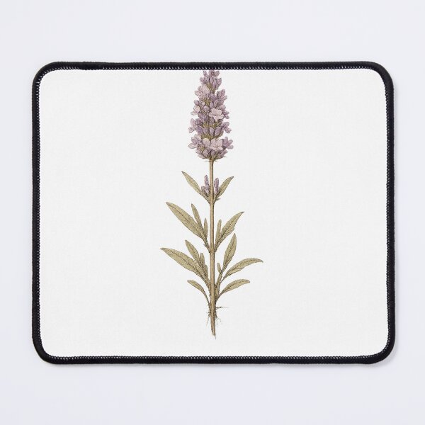Item preview, Single Lavender Specimen Vintage Botanical Illustration | Cottagecore Herbarium Art designed and sold by Joyfulfabric.