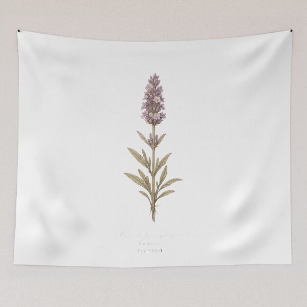 Item preview, Single Lavender Specimen Vintage Botanical Illustration | Cottagecore Herbarium Art designed and sold by Joyfulfabric.