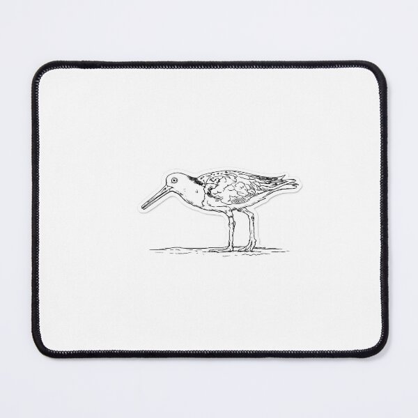 Item preview, OYSTER designed and sold by Todo ALMAR.