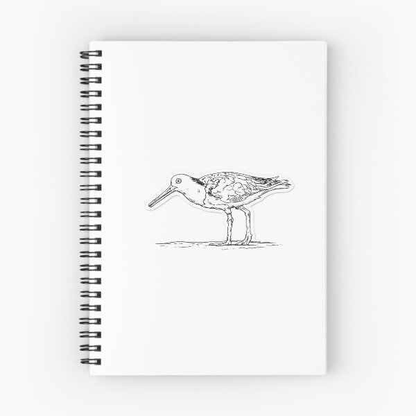 Item preview, OYSTER designed and sold by Todo ALMAR.